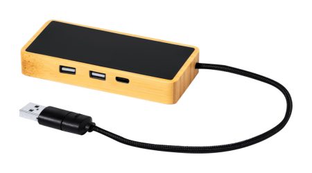 Ginger USB hub